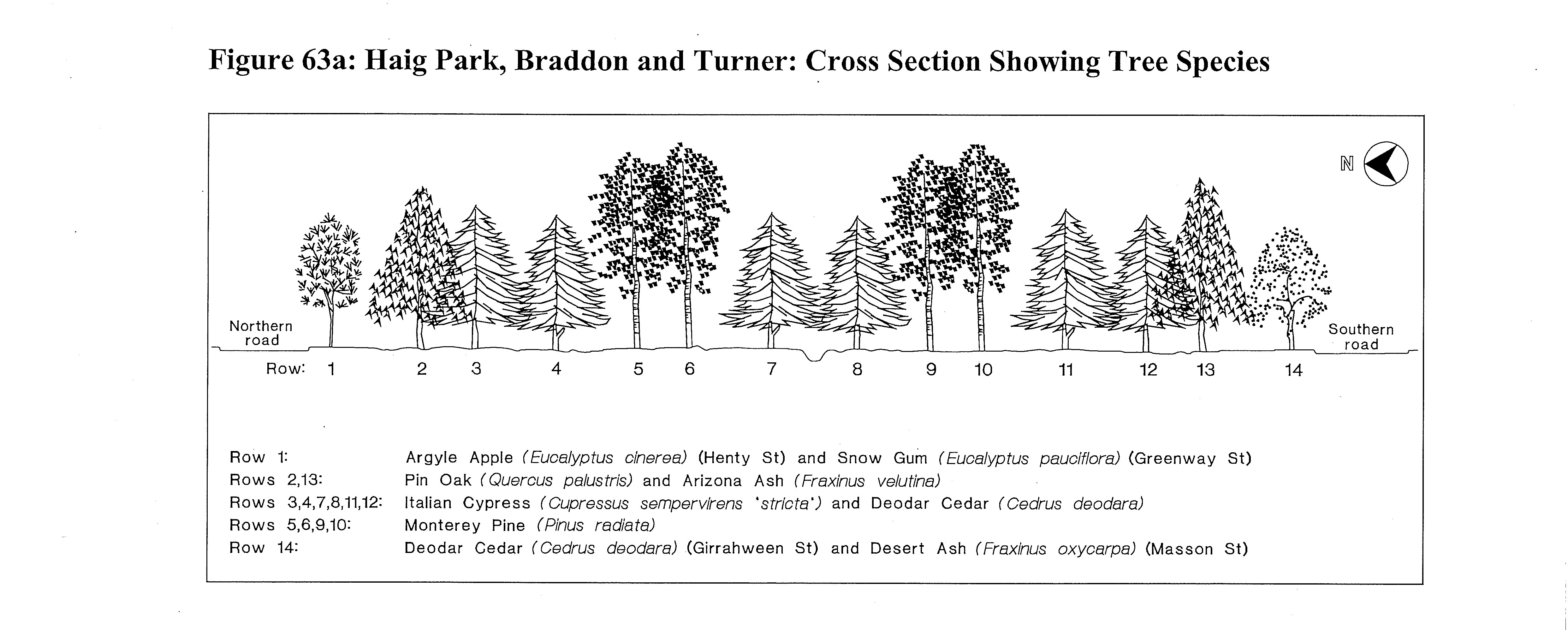 The below shows the cross-section of trees in the heritage listing for Haig Park. 